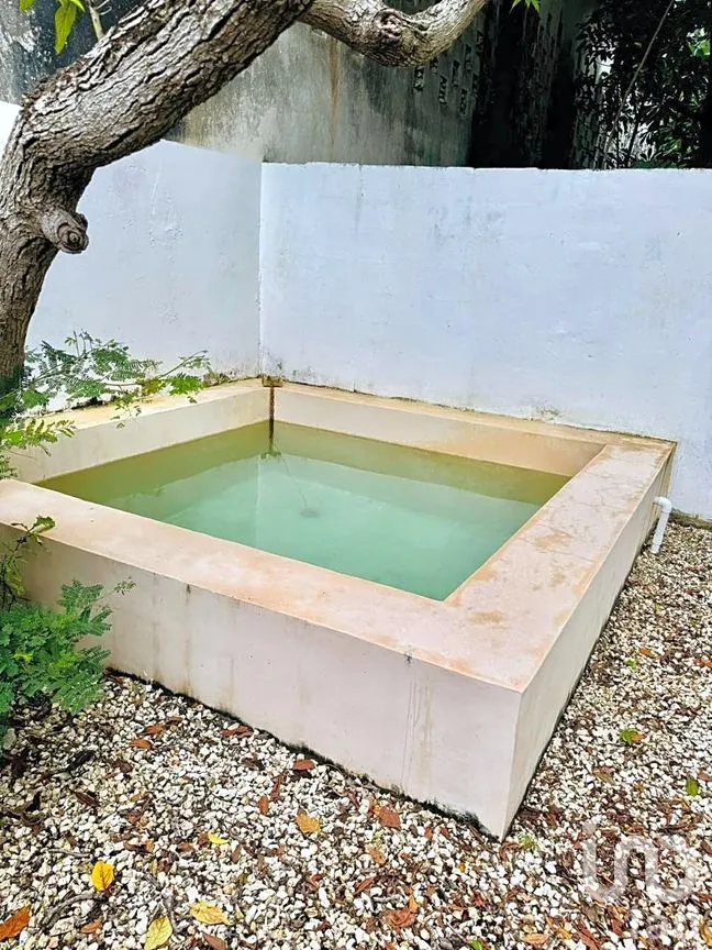 Casa en Venta en Itzaes, Mérida, Yucatán | NEX-239927 | iad México | Foto 34 de 39