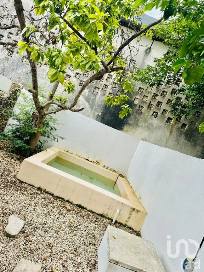 Casa en Venta en Itzaes, Mérida, Yucatán | NEX-239927 | iad México | Foto 35 de 39
