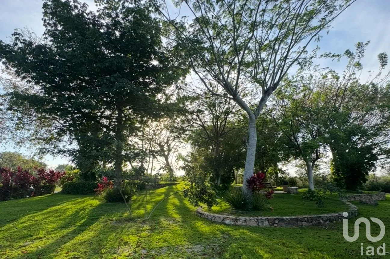 Casa en Venta en X-Cuyum, Conkal, Yucatán | NEX-297490 | iad México | Foto 5 de 37