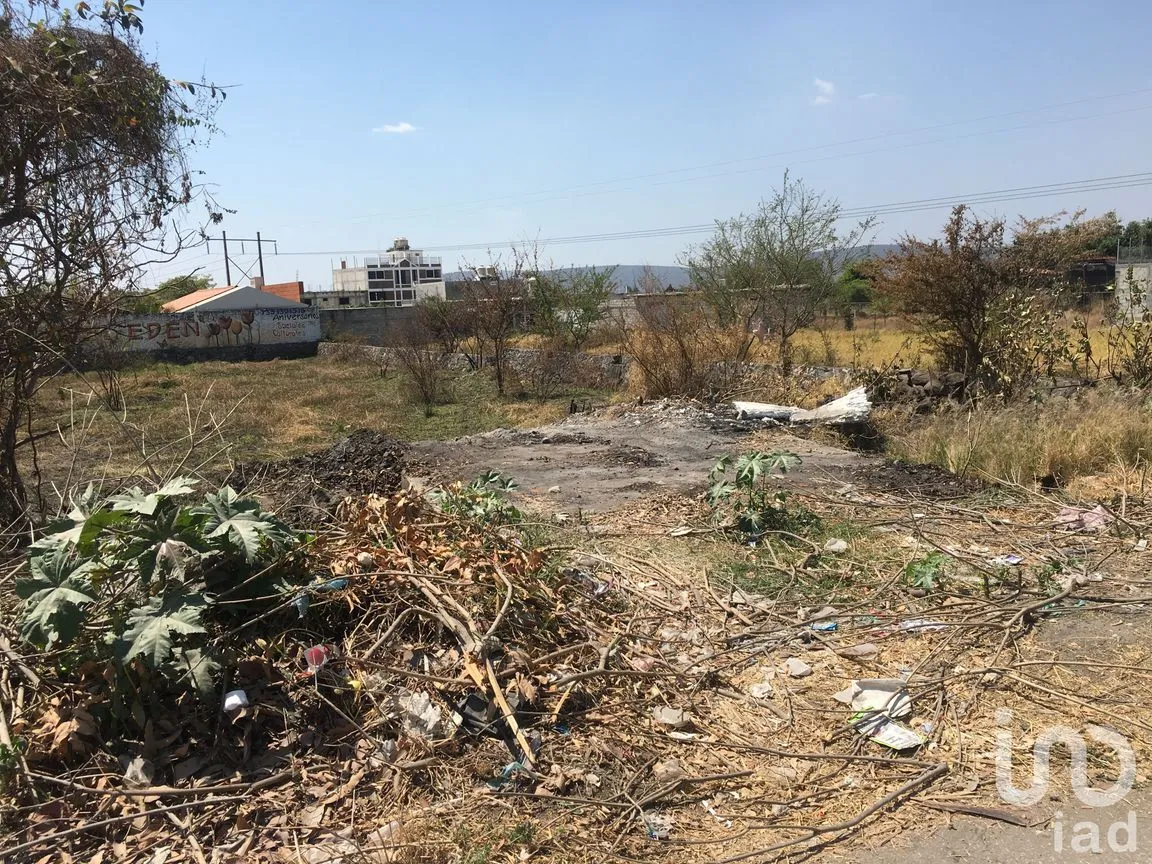 Terreno en Venta en 10 de Abril, Cuautla, Morelos | NEX-7816 | iad México | Foto 8 de 10