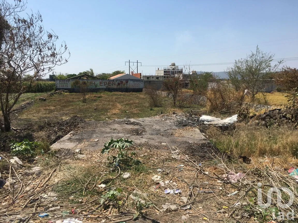 Terreno en Venta en 10 de Abril, Cuautla, Morelos | NEX-7816 | iad México | Foto 4 de 10