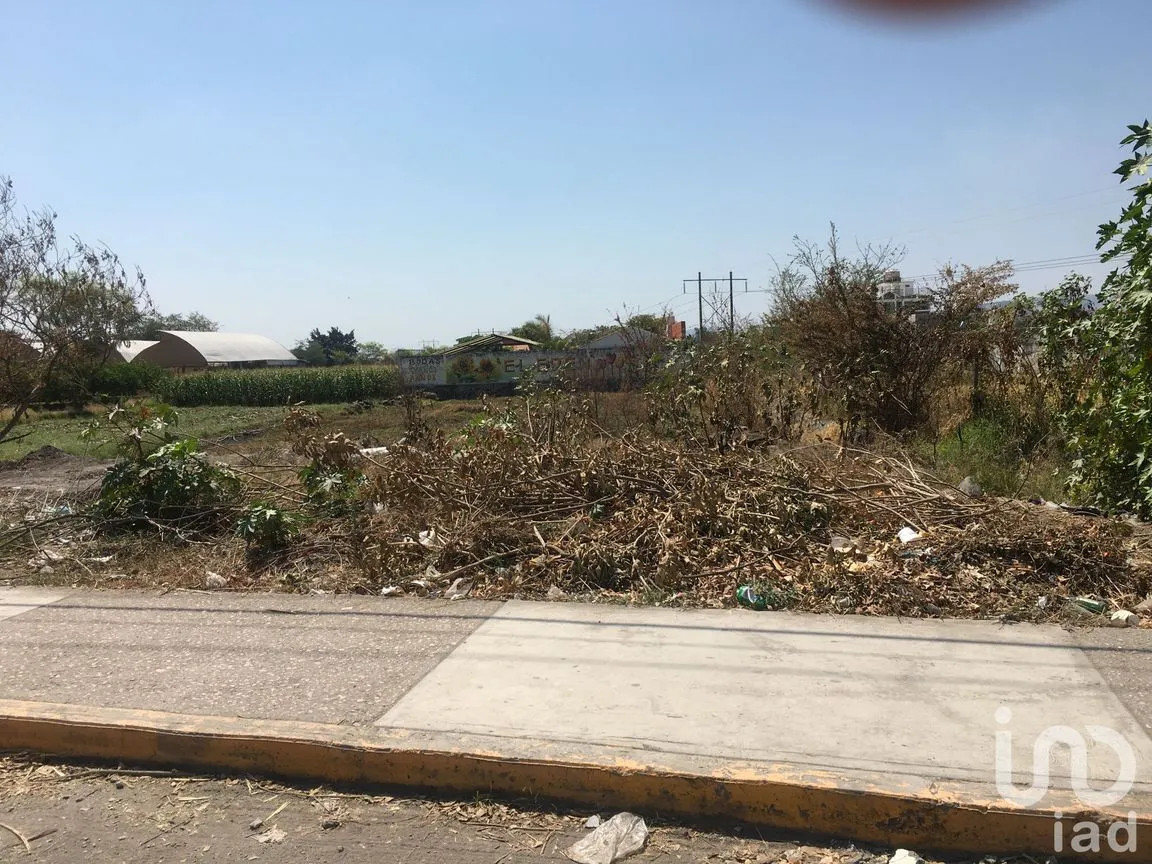 Terreno en Venta en 10 de Abril, Cuautla, Morelos | NEX-7816 | iad México | Foto 7 de 10