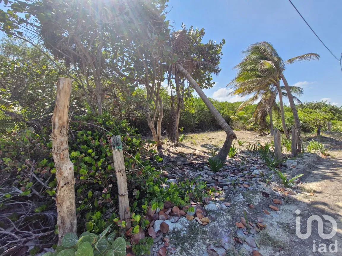 Terreno en Venta en Mahahual, Othón P. Blanco, Quintana Roo | NEX-297426 | iad México | Foto 2 de 19