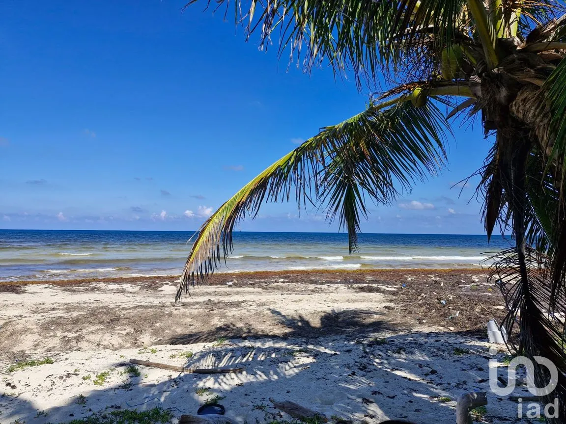 Terreno en Venta en Mahahual, Othón P. Blanco, Quintana Roo | NEX-297426 | iad México | Foto 11 de 19