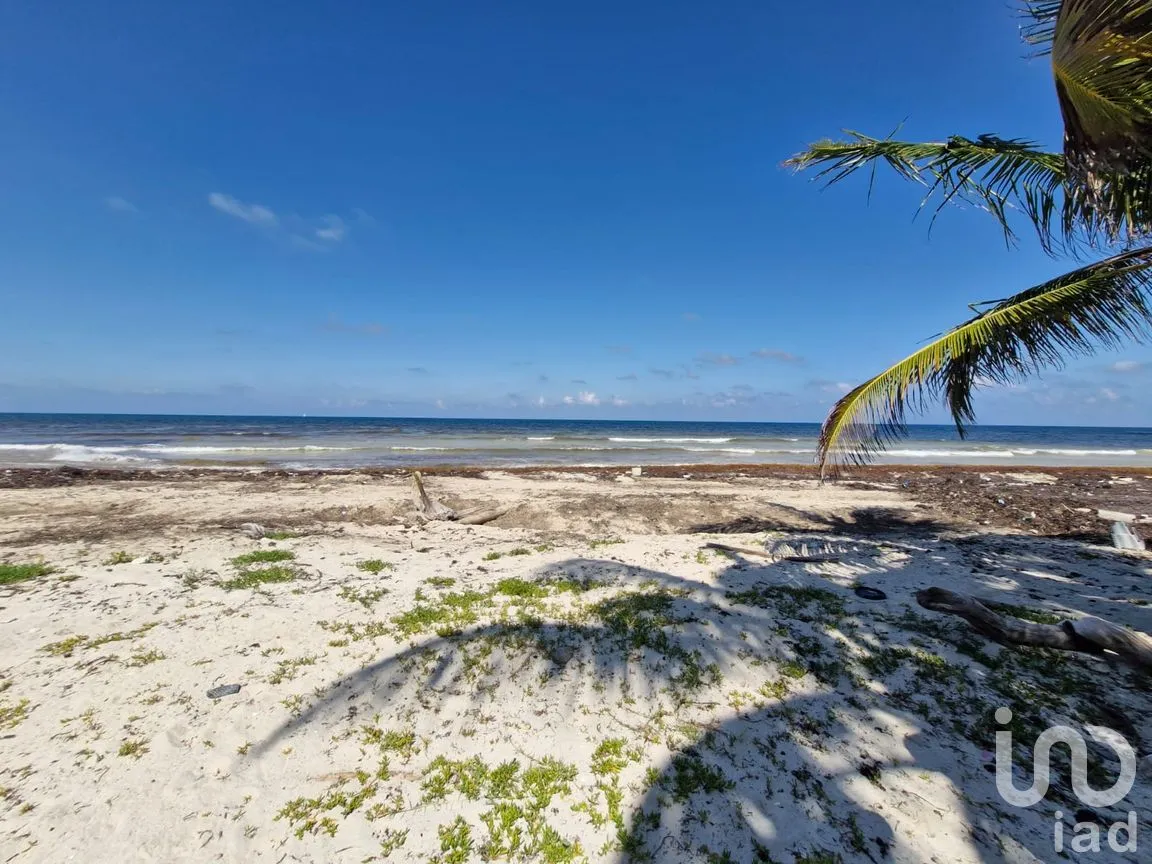 Terreno en Venta en Mahahual, Othón P. Blanco, Quintana Roo | NEX-297426 | iad México | Foto 12 de 19