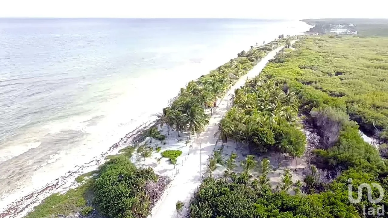 Terreno en Venta en Mahahual, Othón P. Blanco, Quintana Roo | NEX-297426 | iad México | Foto 13 de 19