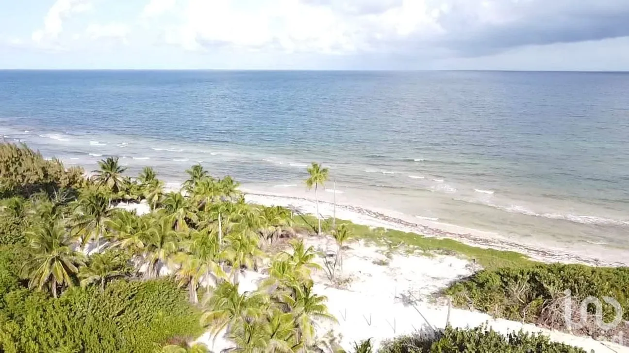 Terreno en Venta en Mahahual, Othón P. Blanco, Quintana Roo | NEX-297426 | iad México | Foto 14 de 19