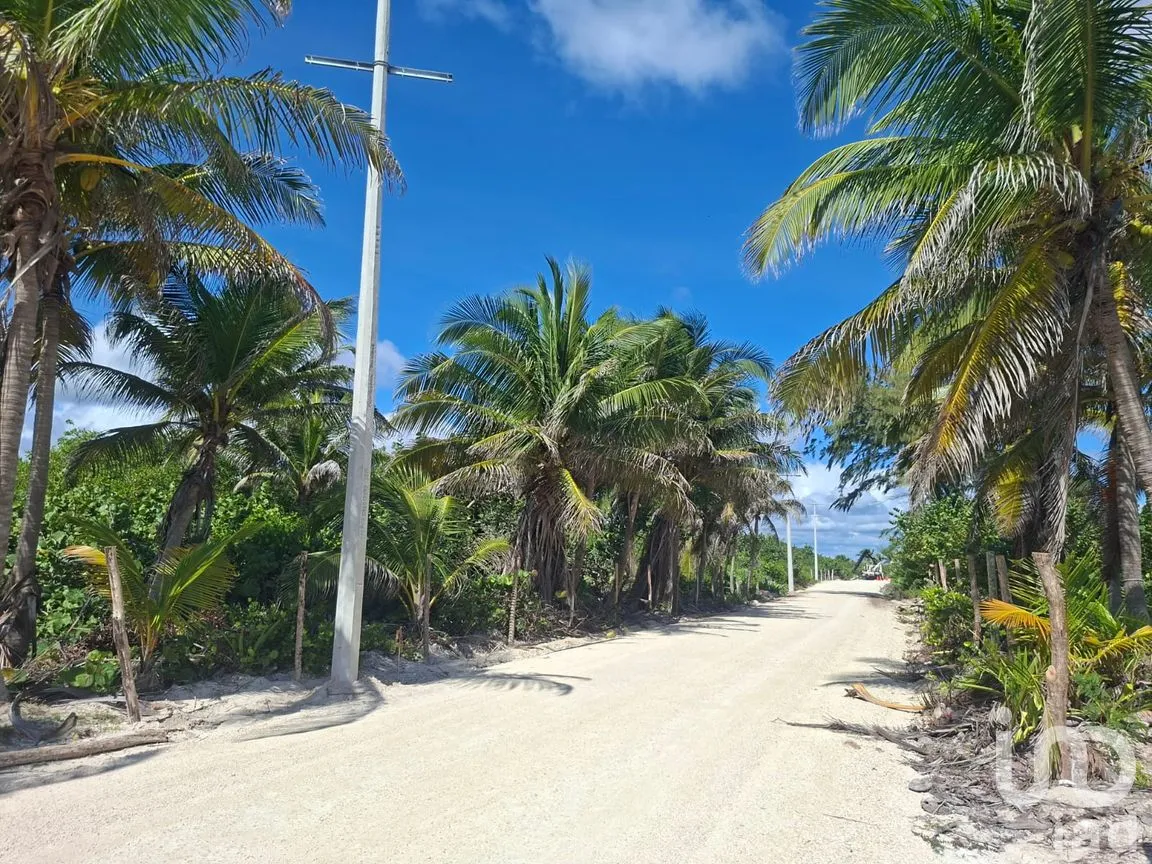 Terreno en Venta en Mahahual, Othón P. Blanco, Quintana Roo | NEX-297426 | iad México | Foto 19 de 19
