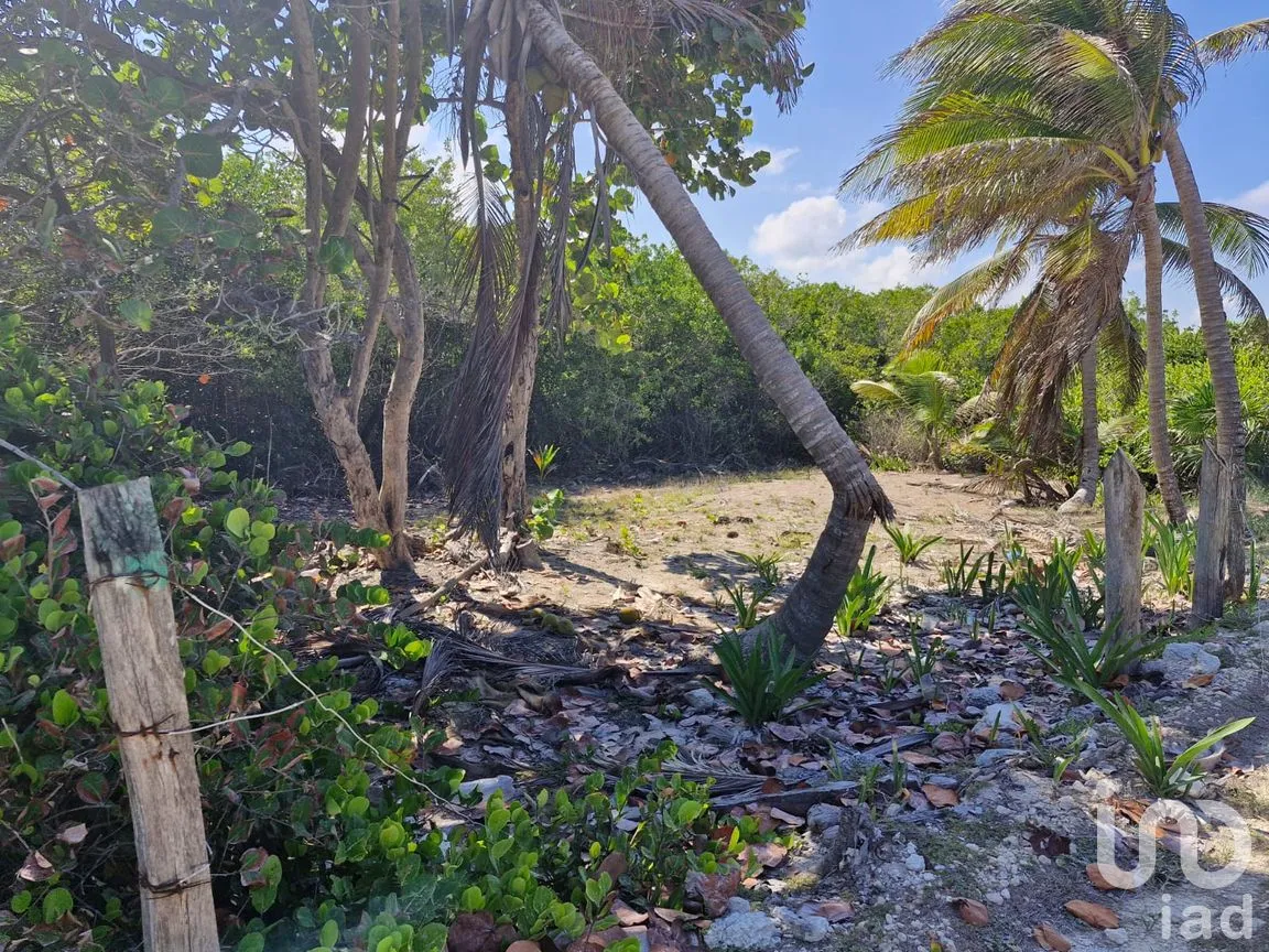 Terreno en Venta en Mahahual, Othón P. Blanco, Quintana Roo | NEX-297426 | iad México | Foto 3 de 19