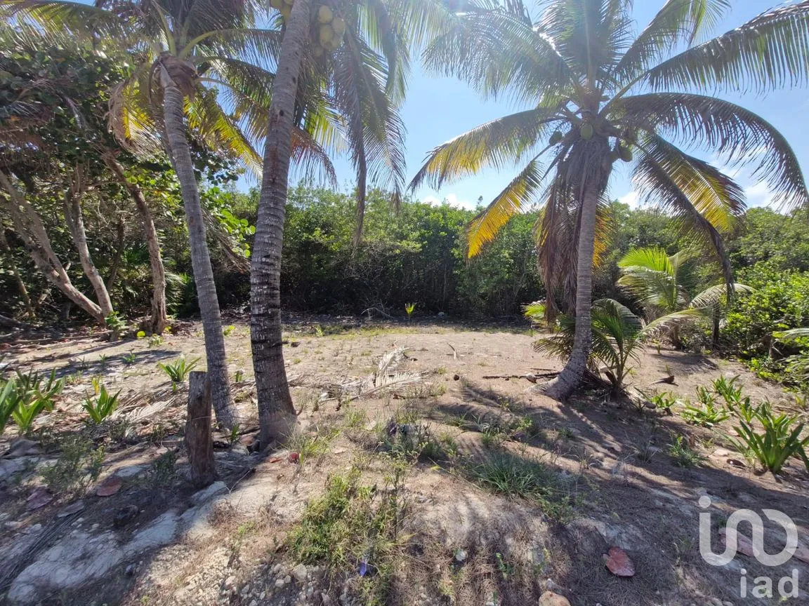 Terreno en Venta en Mahahual, Othón P. Blanco, Quintana Roo | NEX-297426 | iad México | Foto 4 de 19