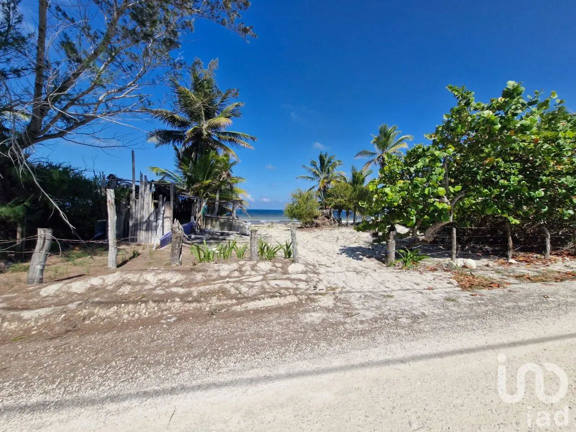Terreno en Venta en Mahahual, Othón P. Blanco, Quintana Roo | NEX-297426 | iad México | Foto 5 de 19