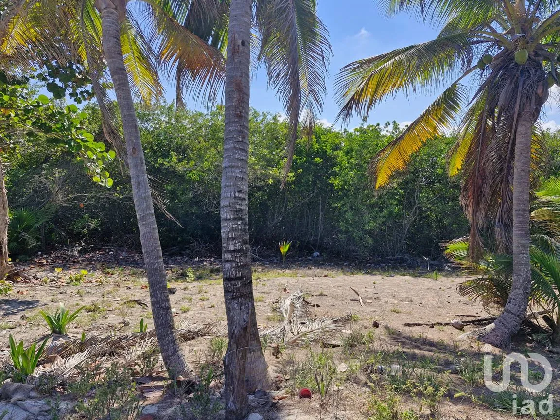 Terreno en Venta en Mahahual, Othón P. Blanco, Quintana Roo | NEX-297426 | iad México | Foto 6 de 19