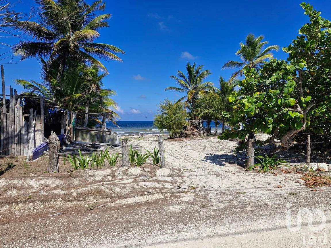 Terreno en Venta en Mahahual, Othón P. Blanco, Quintana Roo | NEX-297426 | iad México | Foto 7 de 19