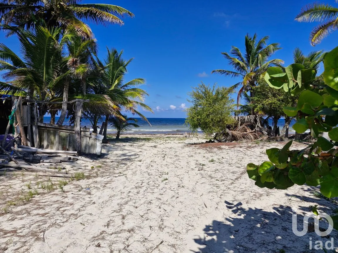 Terreno en Venta en Mahahual, Othón P. Blanco, Quintana Roo | NEX-297426 | iad México | Foto 8 de 19