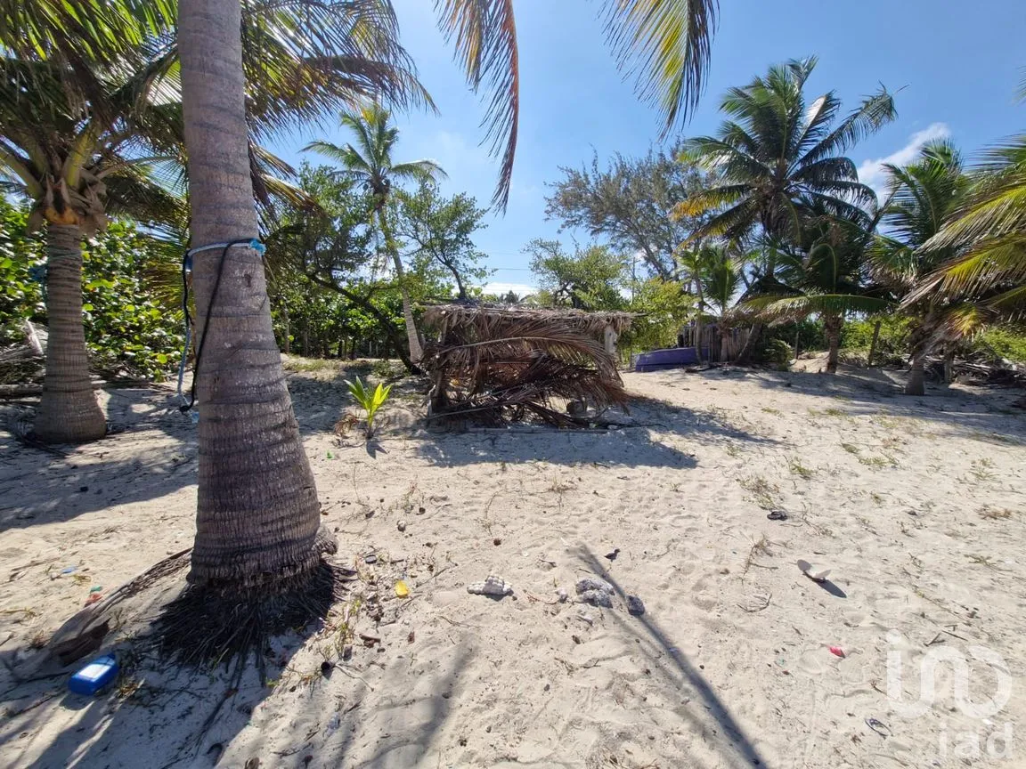 Terreno en Venta en Mahahual, Othón P. Blanco, Quintana Roo | NEX-297426 | iad México | Foto 9 de 19