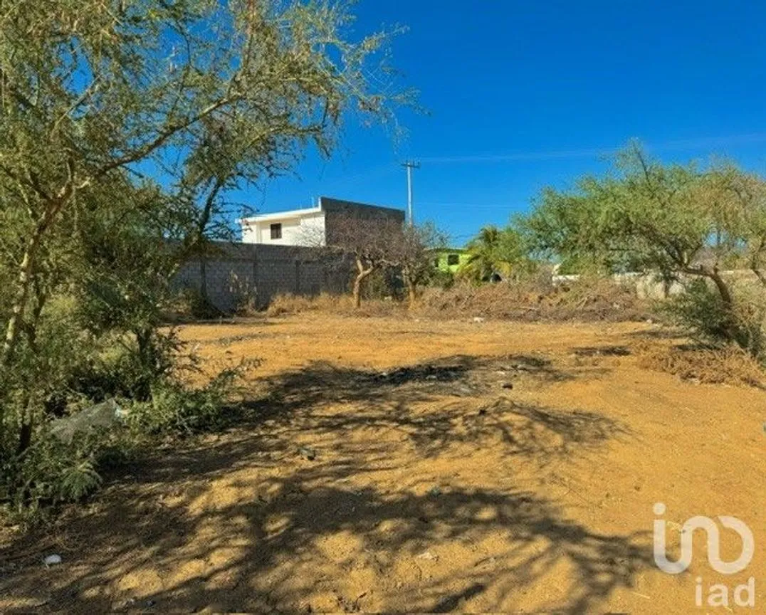 Terreno en Renta en Buenos Aires, Los Cabos, Baja California Sur | NEX-217042 | iad México | Foto 2 de 7
