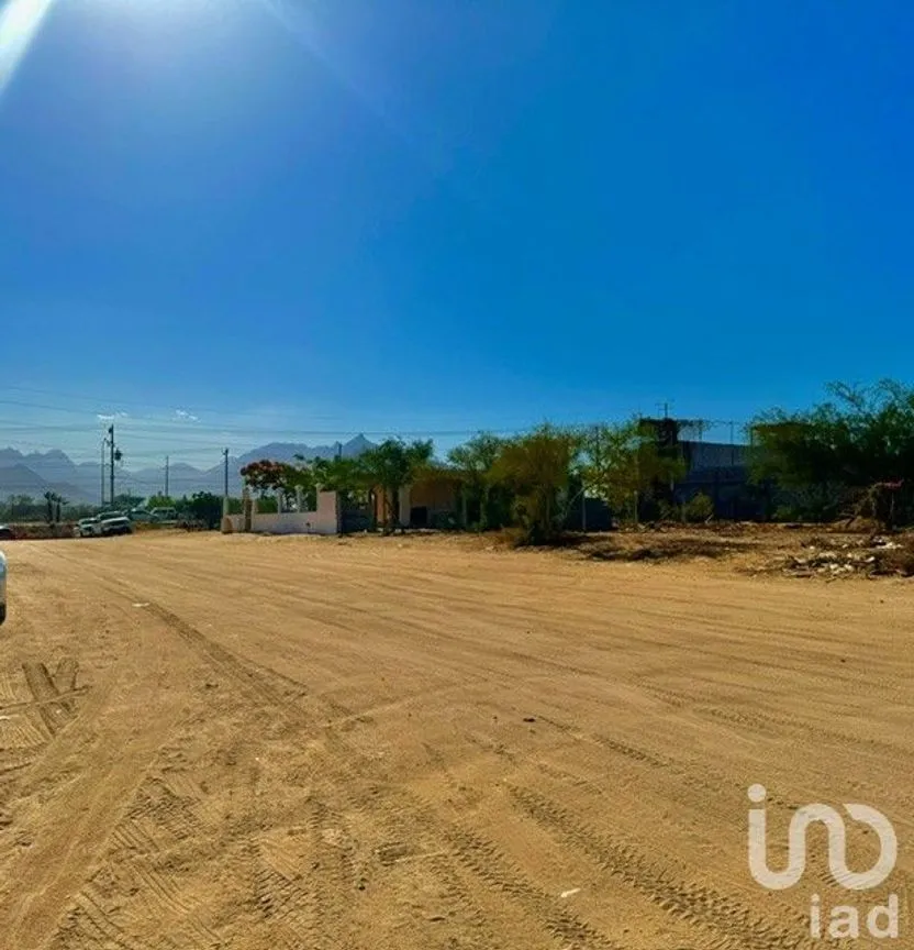 Terreno en Renta en Buenos Aires, Los Cabos, Baja California Sur | NEX-217042 | iad México | Foto 3 de 7