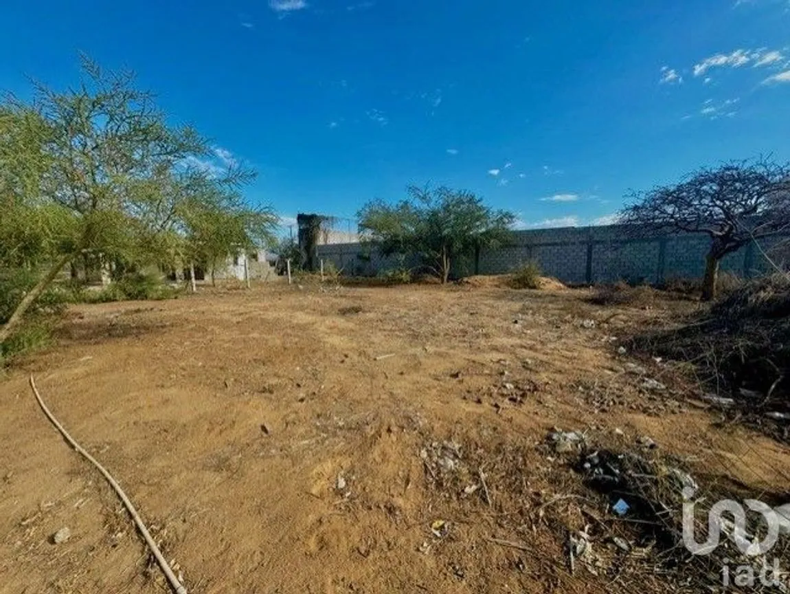 Terreno en Renta en Buenos Aires, Los Cabos, Baja California Sur | NEX-217042 | iad México | Foto 4 de 7