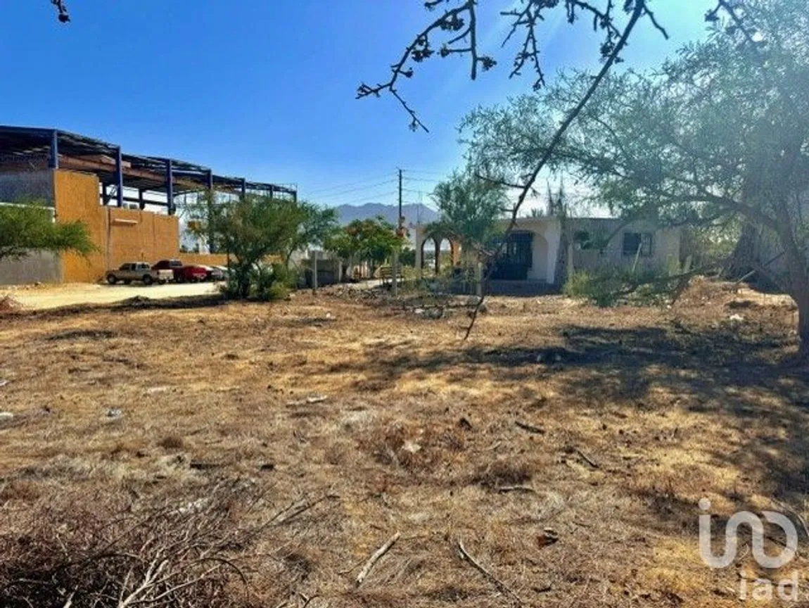 Terreno en Renta en Buenos Aires, Los Cabos, Baja California Sur | NEX-217042 | iad México | Foto 5 de 7