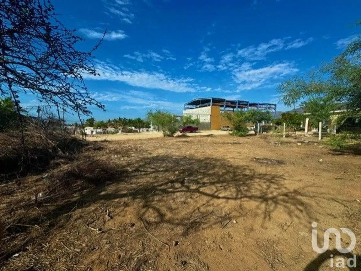 Terreno en Renta en Buenos Aires, Los Cabos, Baja California Sur | NEX-217042 | iad México | Foto 7 de 7