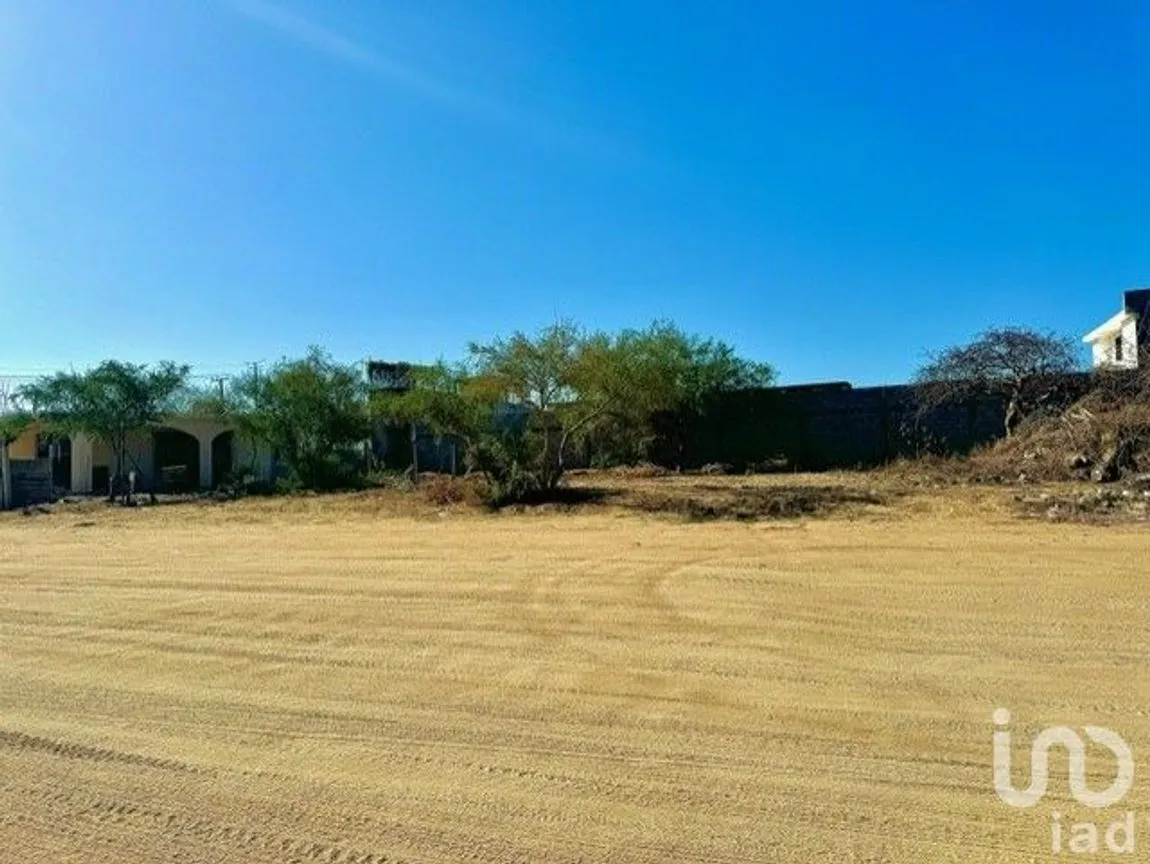 Terreno en Renta en Buenos Aires, Los Cabos, Baja California Sur | NEX-217042 | iad México | Foto 1 de 7