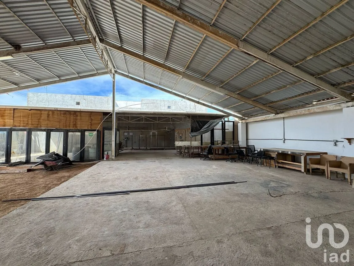Bodega en Renta en Buenos Aires, Los Cabos, Baja California Sur | NEX-237395 | iad México | Foto 14 de 15