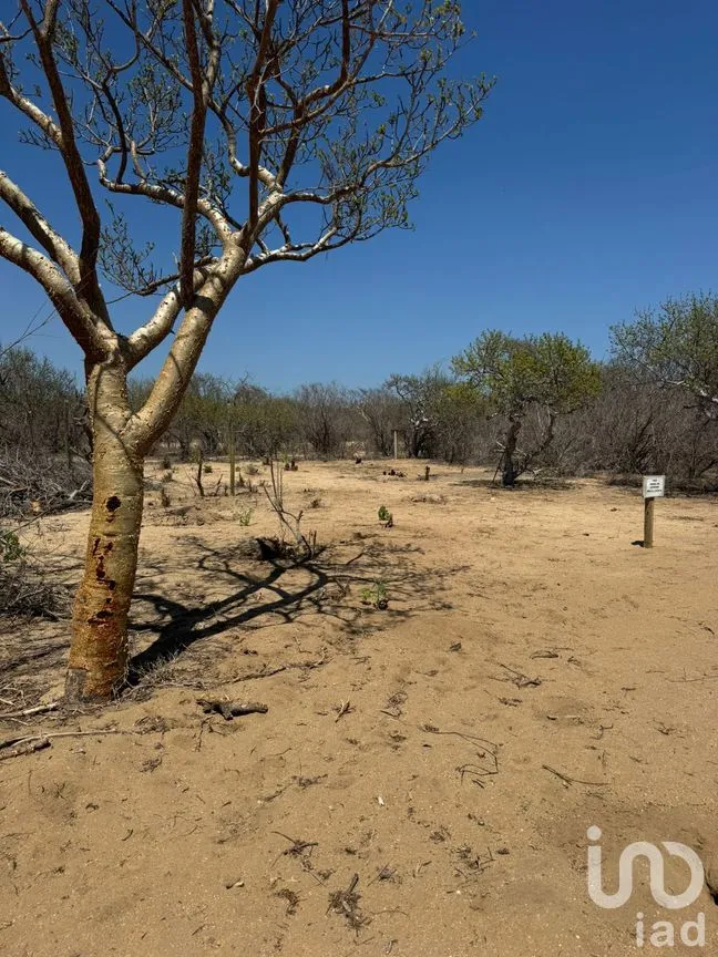 Terreno en Venta en Santa Anita, Los Cabos, Baja California Sur | NEX-258808 | iad México | Foto 10 de 15