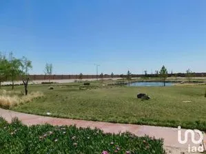 NEX-242828 - Terreno en Venta.