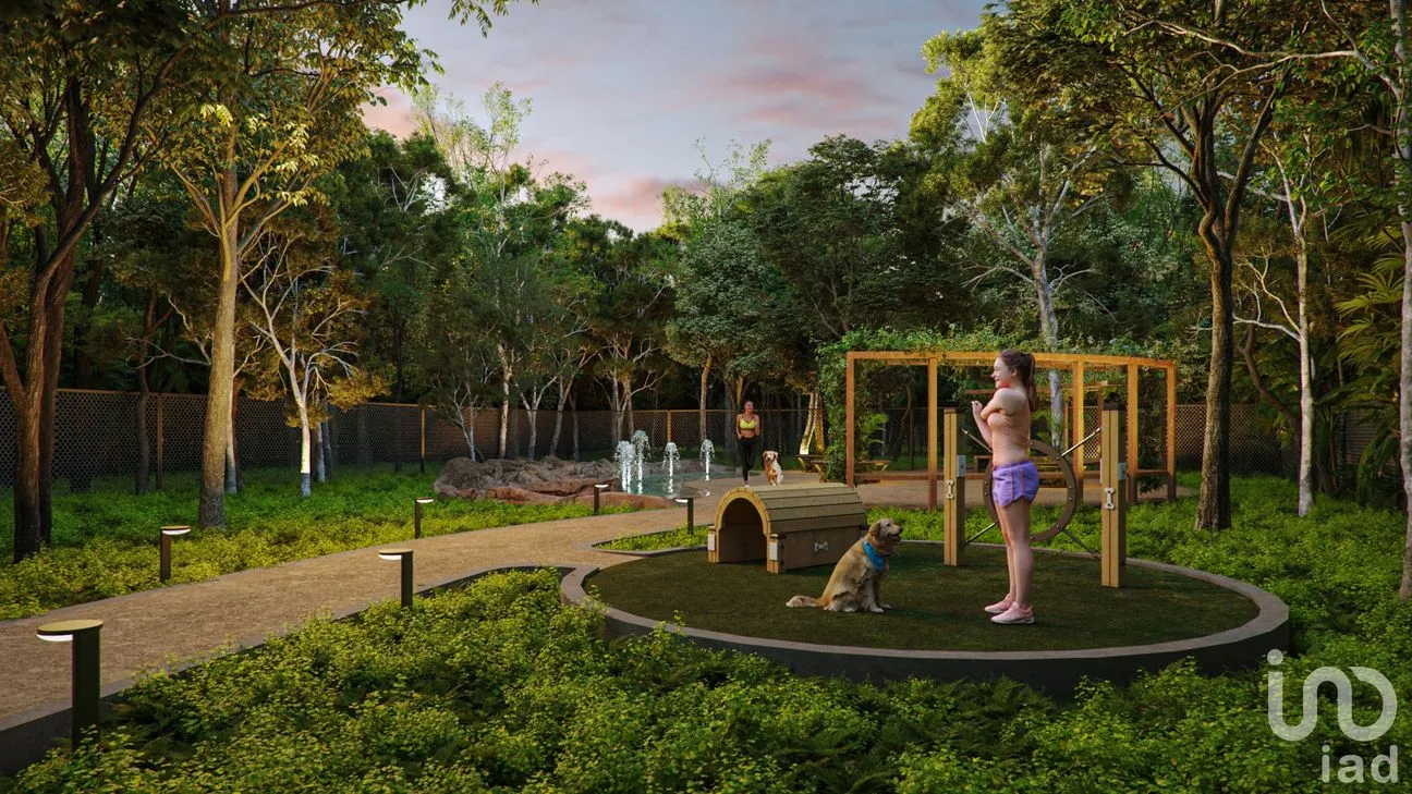 Terreno en Venta en Solferino, Lázaro Cárdenas, Quintana Roo | NEX-239888 | iad México | Foto 4 de 14