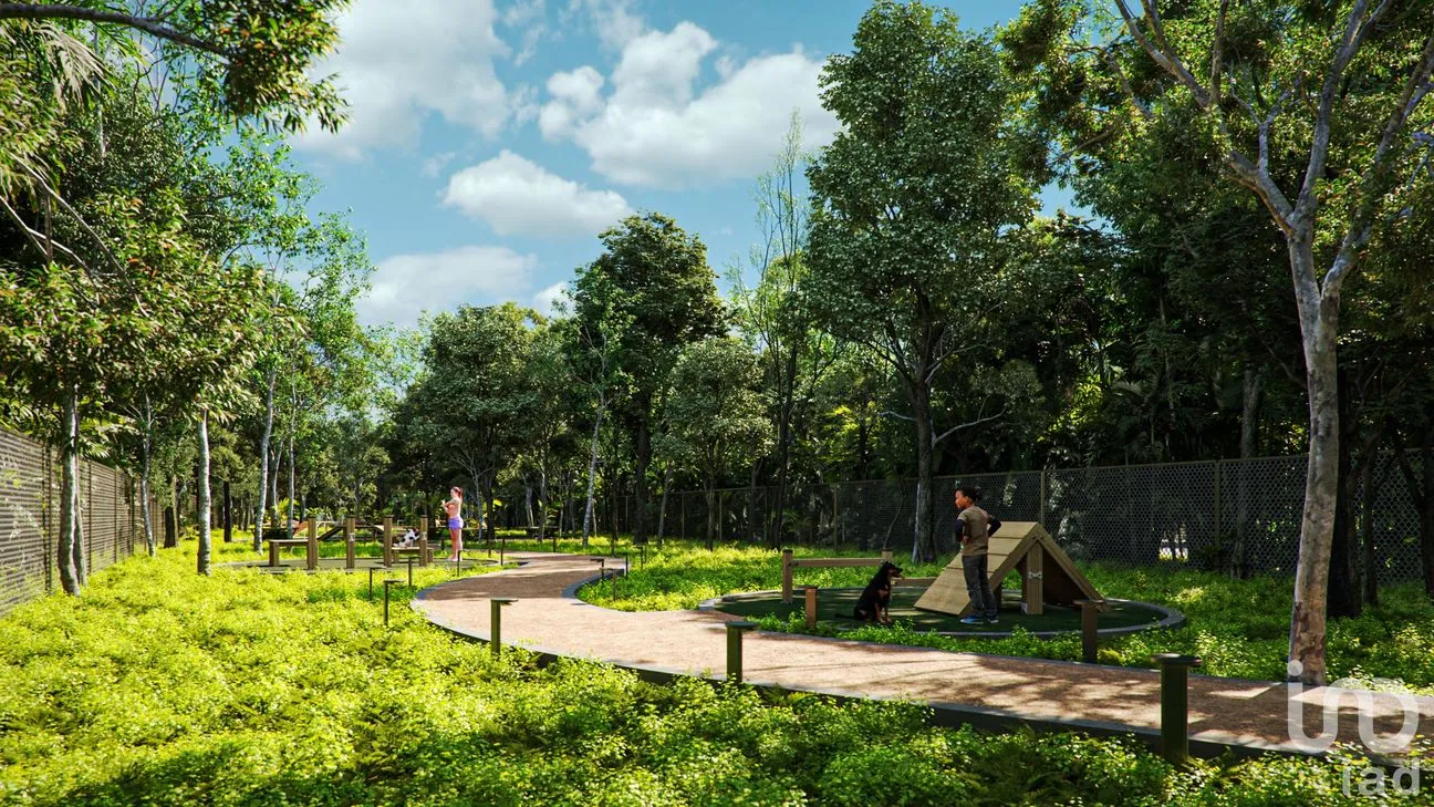 Terreno en Venta en Solferino, Lázaro Cárdenas, Quintana Roo | NEX-239888 | iad México | Foto 5 de 14