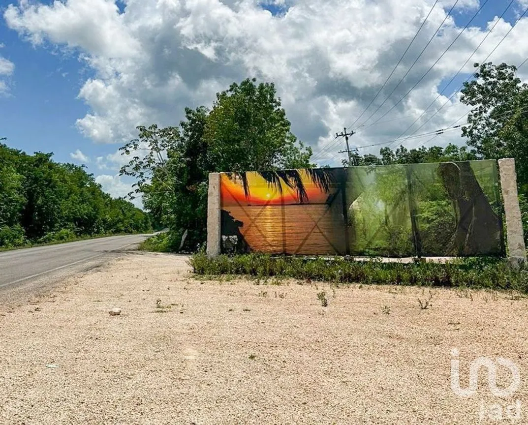 Terreno en Venta en Solferino, Lázaro Cárdenas, Quintana Roo | NEX-239888 | iad México | Foto 1 de 14