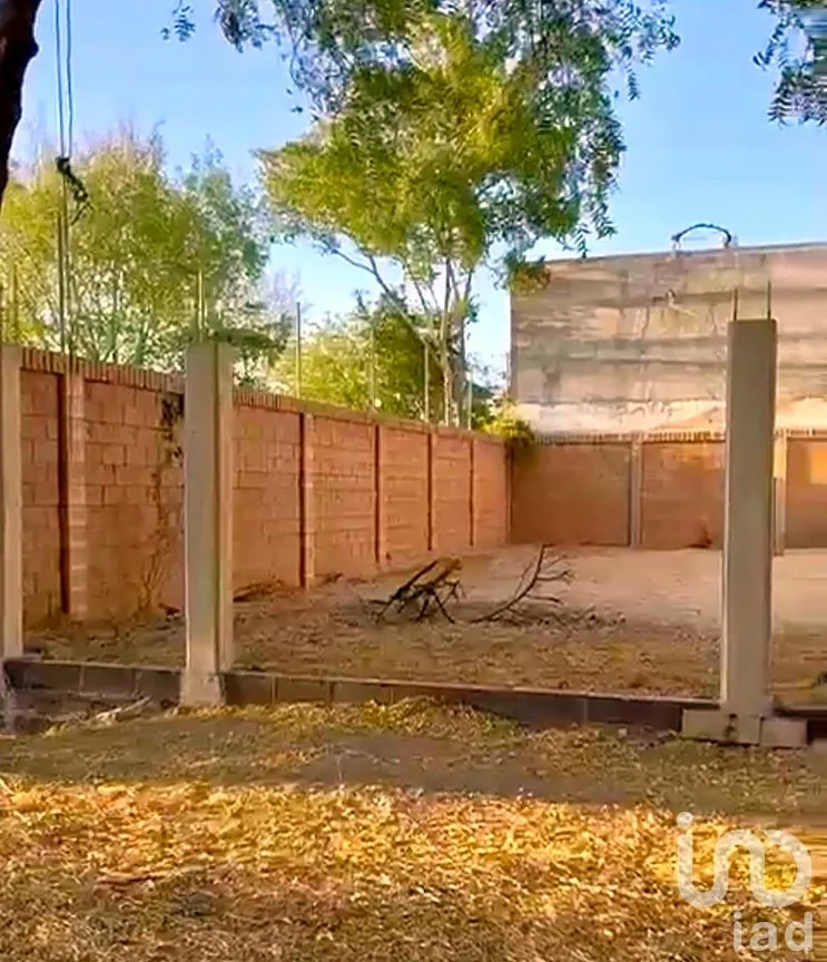 Terreno en Venta en Enrique Félix Castro, Culiacán, Sinaloa | NEX-246375 | iad México | Foto 2 de 5