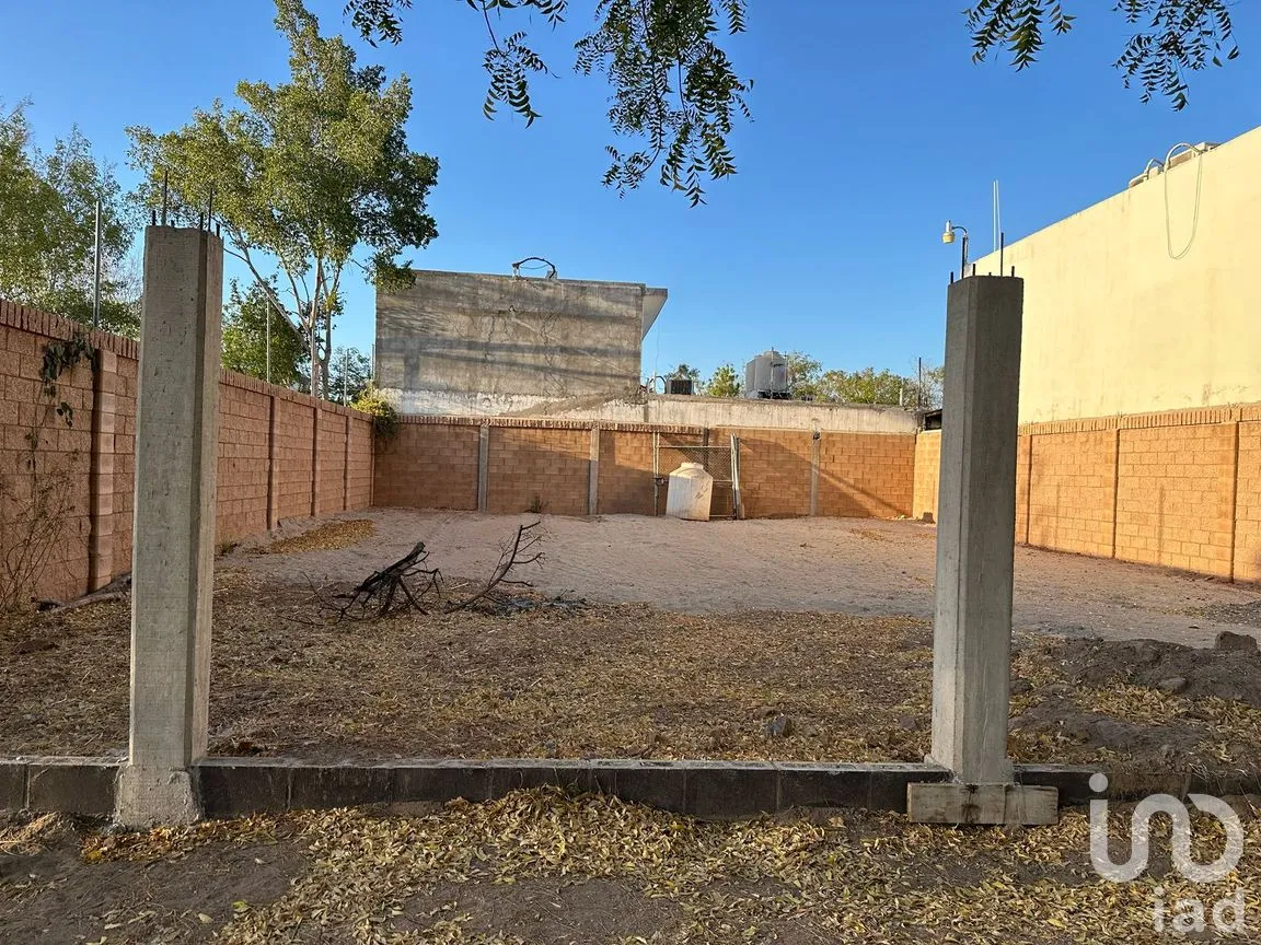 Terreno en Venta en Enrique Félix Castro, Culiacán, Sinaloa | NEX-246375 | iad México | Foto 4 de 5