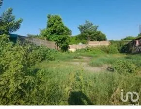 NEX-255347 - Terreno en Venta en Los Alamitos, CP 80018, Sinaloa.