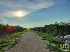 NEX-262221 - Terreno en Venta en Centro Telchac Pueblo, CP 97400, Yucatán.