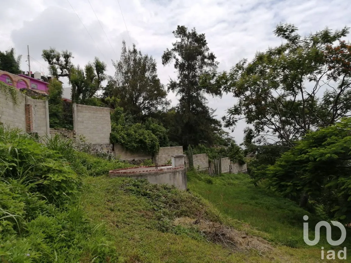 Terreno en Venta en Los Laureles (San José de los Laureles), Tlayacapan, Morelos | NEX-254691 | iad México | Foto 2 de 4