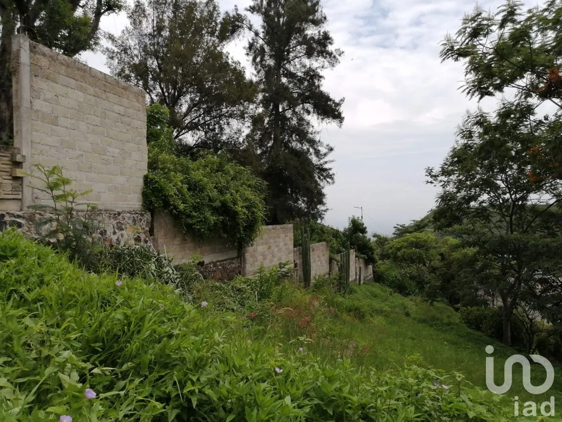Terreno en Venta en Los Laureles (San José de los Laureles), Tlayacapan, Morelos | NEX-254691 | iad México | Foto 3 de 4