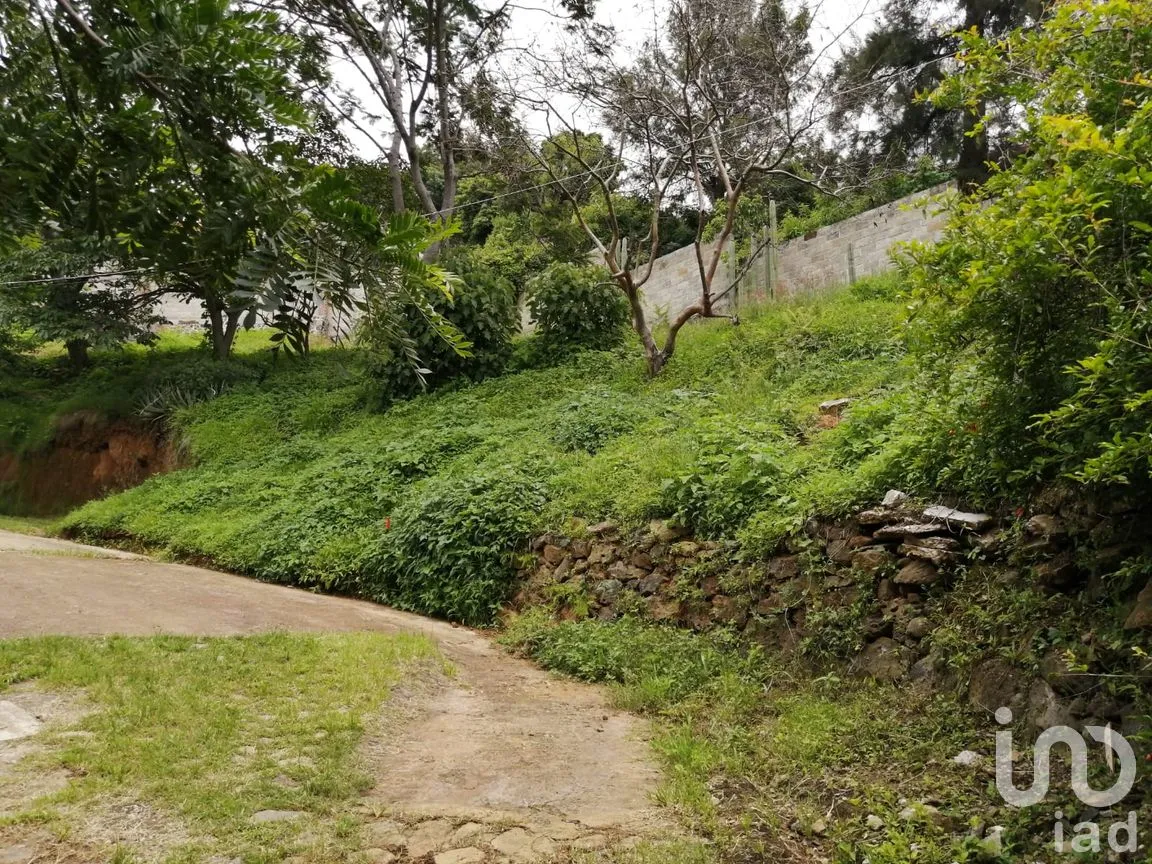 Terreno en Venta en Los Laureles (San José de los Laureles), Tlayacapan, Morelos | NEX-254691 | iad México | Foto 1 de 4