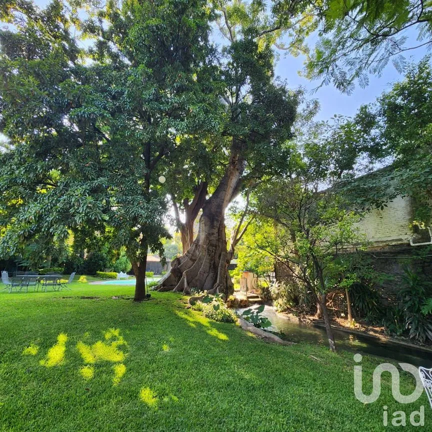 Casa en Venta en Chiconcuac, Xochitepec, Morelos | NEX-235779 | iad México | Foto 2 de 16