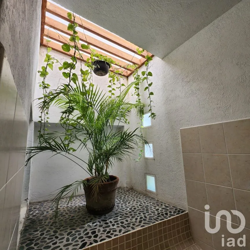 Casa en Venta en Chiconcuac, Xochitepec, Morelos | NEX-235779 | iad México | Foto 8 de 16