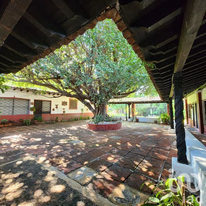 Casa en Venta en Chiconcuac, Xochitepec, Morelos | NEX-235779 | iad México | Foto 9 de 16