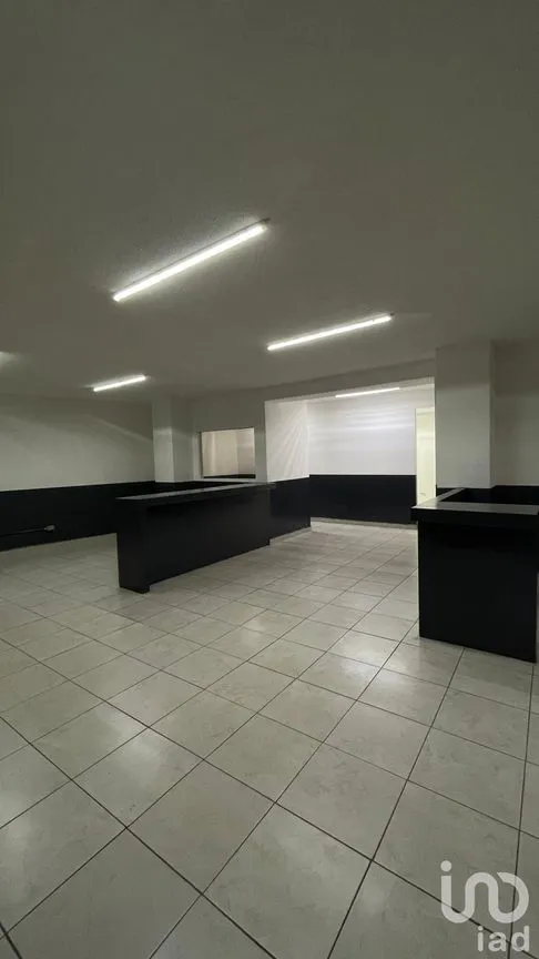 Oficina en Renta en Las Palmas, Cuernavaca, Morelos | NEX-251240 | iad México | Foto 5 de 6