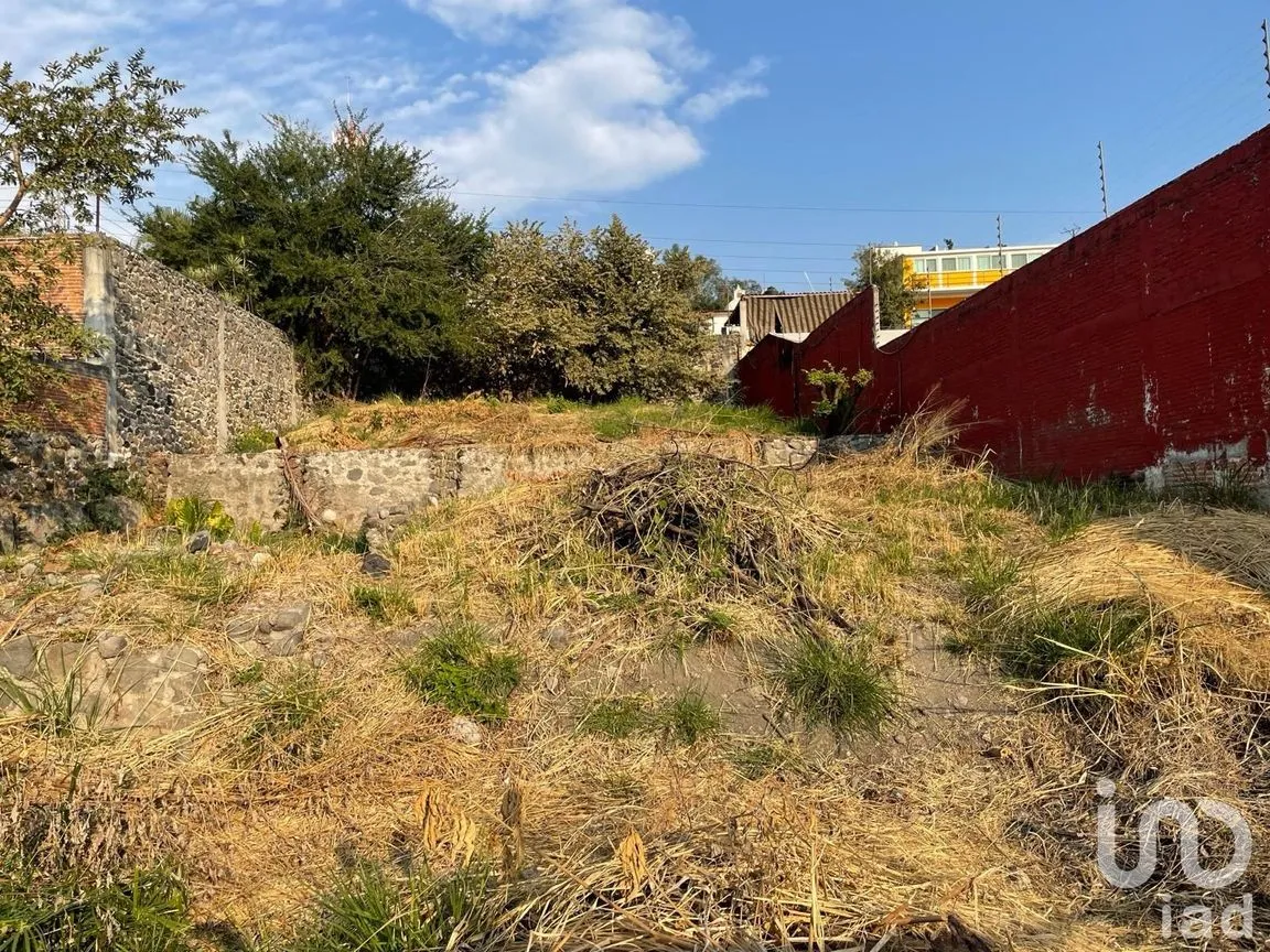 Terreno en Venta en Brisas, Temixco, Morelos | NEX-251535 | iad México | Foto 6 de 8