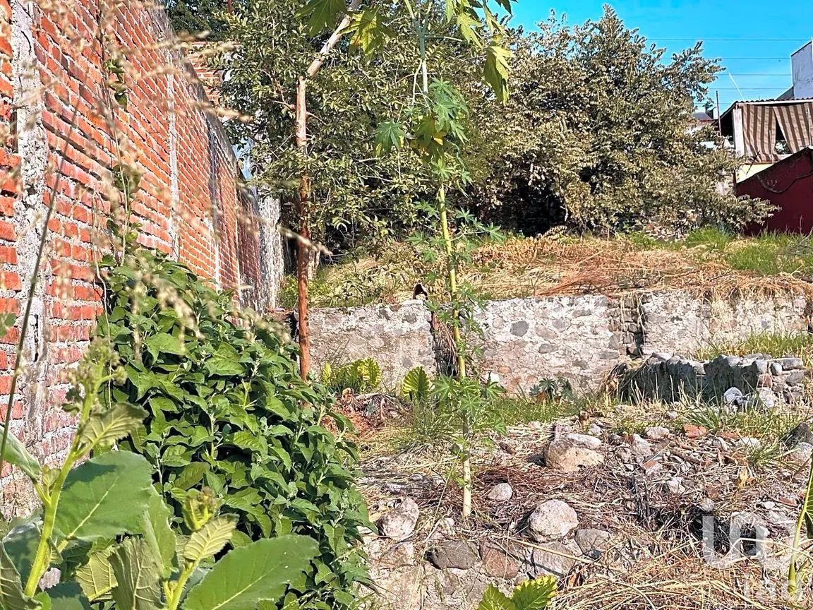 Terreno en Venta en Brisas, Temixco, Morelos | NEX-251535 | iad México | Foto 8 de 8