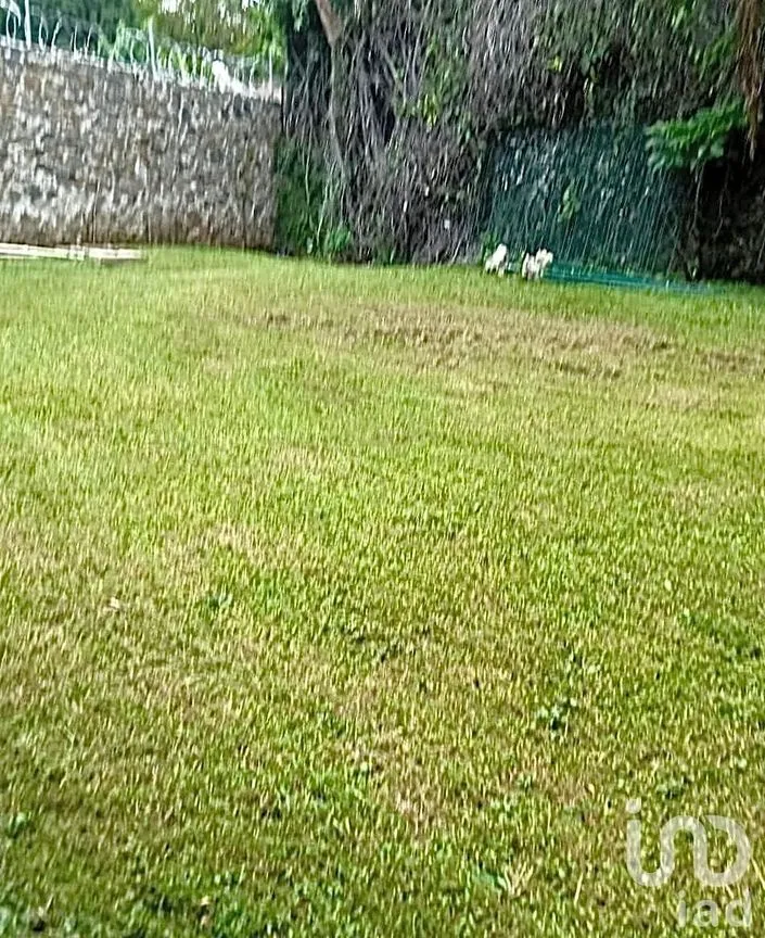 Terreno en Venta en Vista Hermosa, Cuernavaca, Morelos | NEX-253143 | iad México | Foto 5 de 6