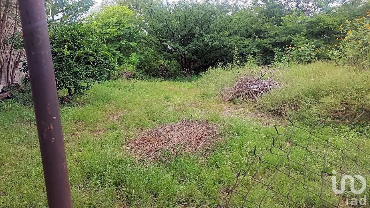 Terreno en Venta en La Floresta, Iguala de la Independencia, Guerrero | NEX-262047 | iad México | Foto 2 de 2