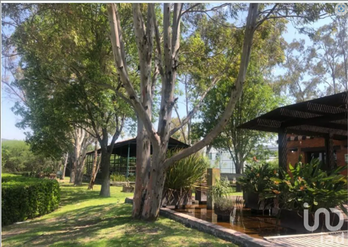 Terreno en Venta en El Encino, Huimilpan, Querétaro | NEX-205570 | iad México | Foto 1 de 7