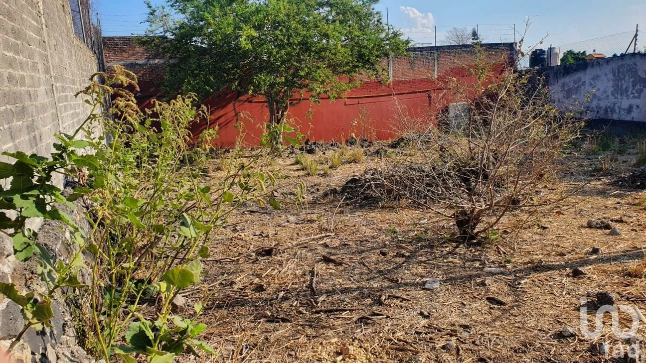 Terreno en Venta en El Mirador, Emiliano Zapata, Morelos | NEX-198366 | iad México | Foto 5 de 8