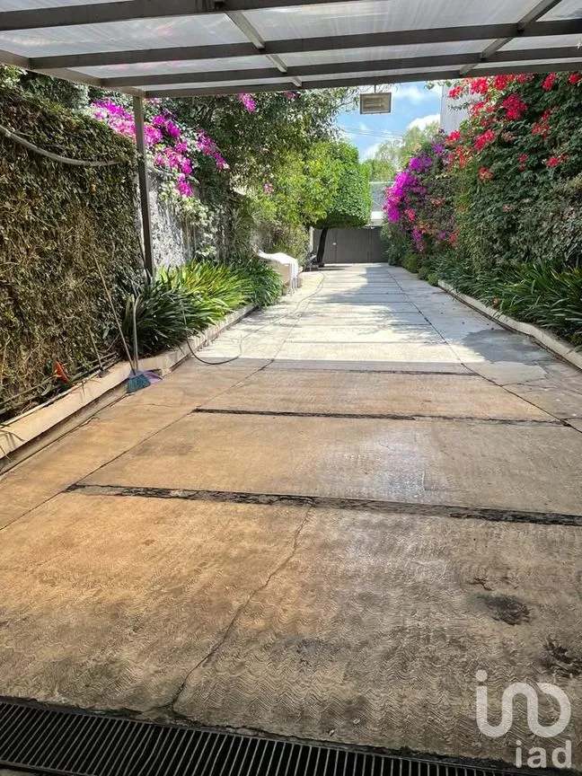 Casa en Venta en Jardines del Pedregal, Álvaro Obregón, Ciudad de México | NEX-237648 | iad México | Foto 10 de 11