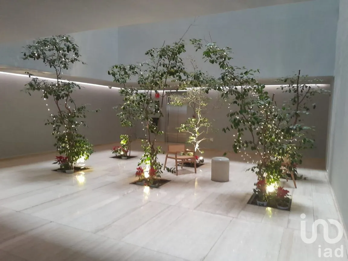 Departamento en Renta en Roma Norte, Cuauhtémoc, Ciudad de México | NEX-241201 | iad México | Foto 1 de 8